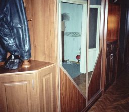 Шкаф-купе Орех в коридоре от Green мебель