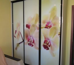 Шкаф-купе в детской «Орхидеи» от Green мебель