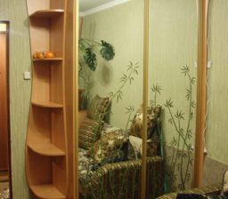Шкаф-купе Ольха с рисунком от Green мебель