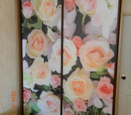 Шкаф-купе «Розы на матовом стекле» от Green мебель