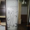Фото №20834 Шкаф-купе Венге с рисунком Шкаф с дверьми ДСП