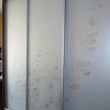 Фото №21858 Шафа-купе Горіх Пегас Шафа з дверима матове дзеркало