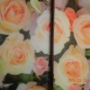 Фото №20597 Орех Экко Шкаф-купе «Розы на матовом стекле»