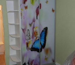 Шкаф-купе «Бабочки» от Green мебель