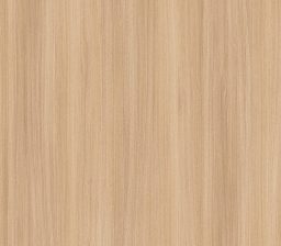 Дуб Барбера Піщаний